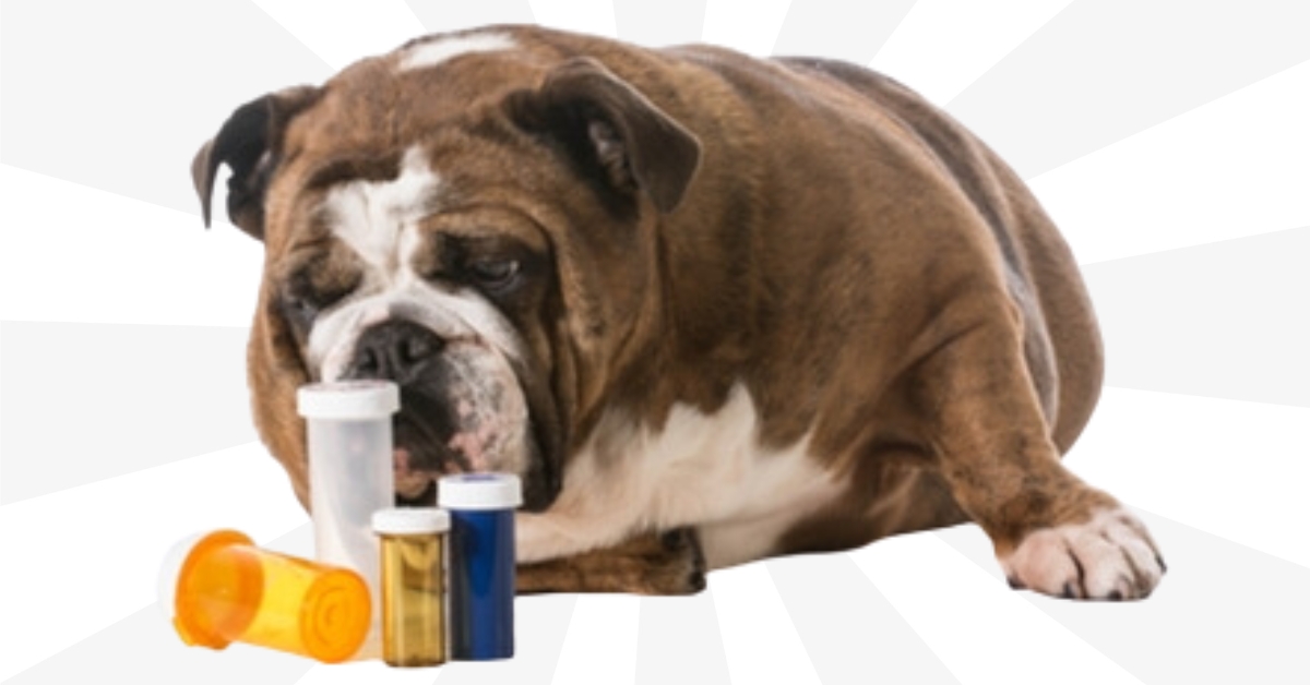 Trazodone For Dogs Dosage Chart